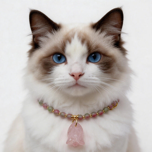 Elegant cat wearing watermelon tourmaline and rose quartz crystal collar necklace with gold spacers, healing gemstone pet jewelry for cats with heart chakra energy