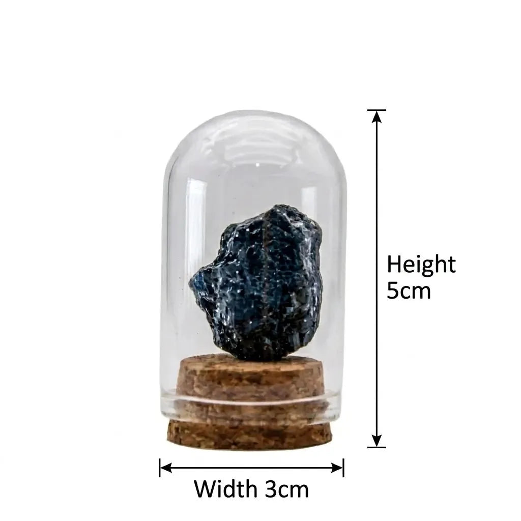 CHIGROVE Black Tourmaline Specimen in Glass Cloche for Protection & Meditation | Natural Rough Stone Desk Decor - ChiGrove