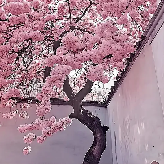 Fringe flowers bloom into a fairy tale of ink wash