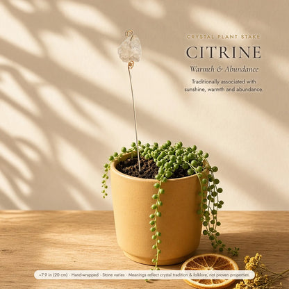 Le piquet de plante en cristal — Décoration de pot en pierre brute enveloppée à la main