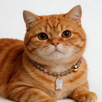 Cat in a clear quartz crystal necklace