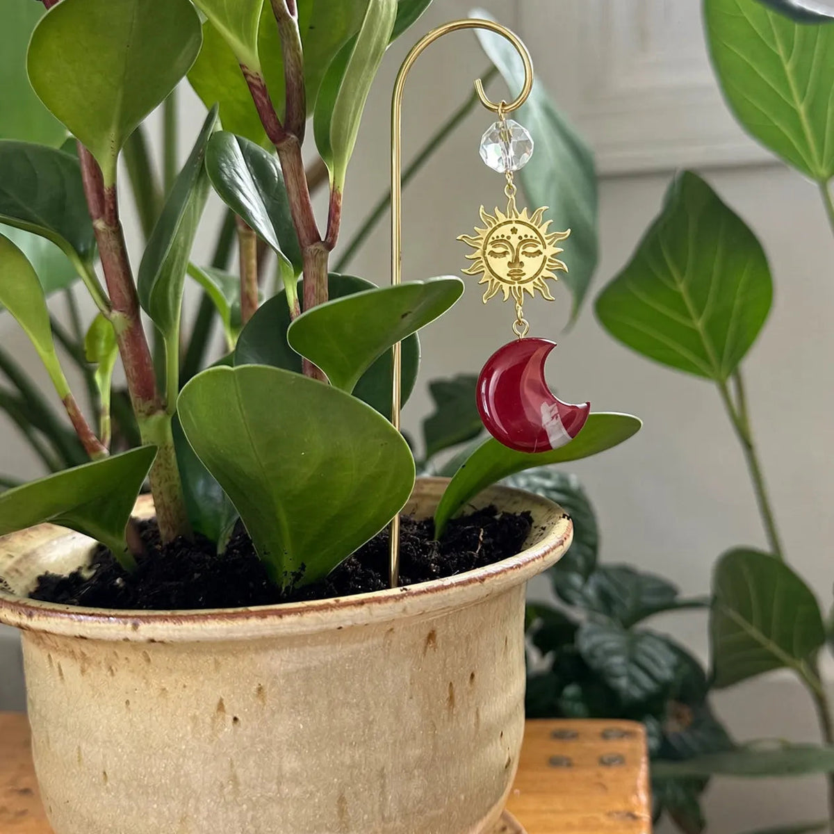 Red jasper moon plant stake in a speckled ceramic pot among broad green leaves