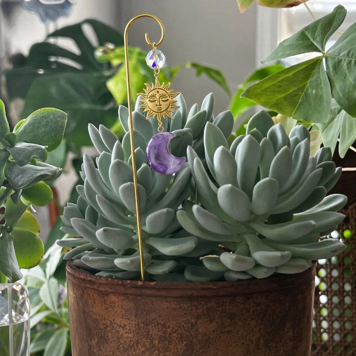 Amethyst moon plant stake in a pale succulent, rust-colored pot