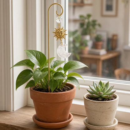 Clear quartz moon stake in a terracotta pothos, a small succulent beside it