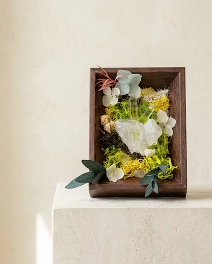 Clear quartz framed landscape with moss, quartz points and leaves in a dark wood box