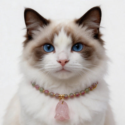 Cat in a rose quartz crystal necklace