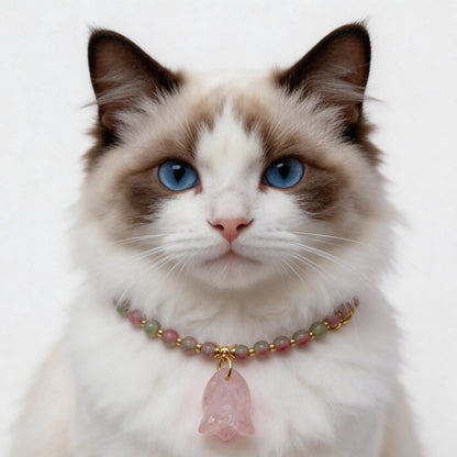Elegant cat wearing watermelon tourmaline and rose quartz crystal collar necklace with gold spacers, healing gemstone pet jewelry for cats with heart chakra energy