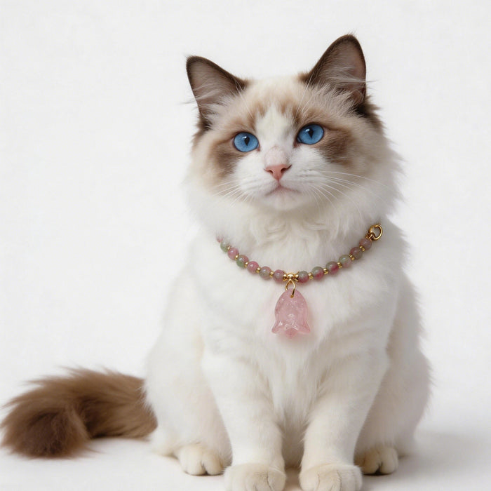 Cat in rose quartz crystal necklace