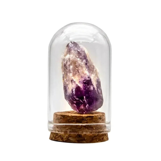 CHIGROVE Amethyst Crystal Specimen in Glass Cloche | Healing Calming Desk Decor Spiritual Gift for Crystal Lovers - ChiGrove
