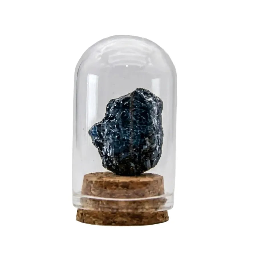 CHIGROVE Black Tourmaline Specimen in Glass Cloche for Protection & Meditation | Natural Rough Stone Desk Decor - ChiGrove