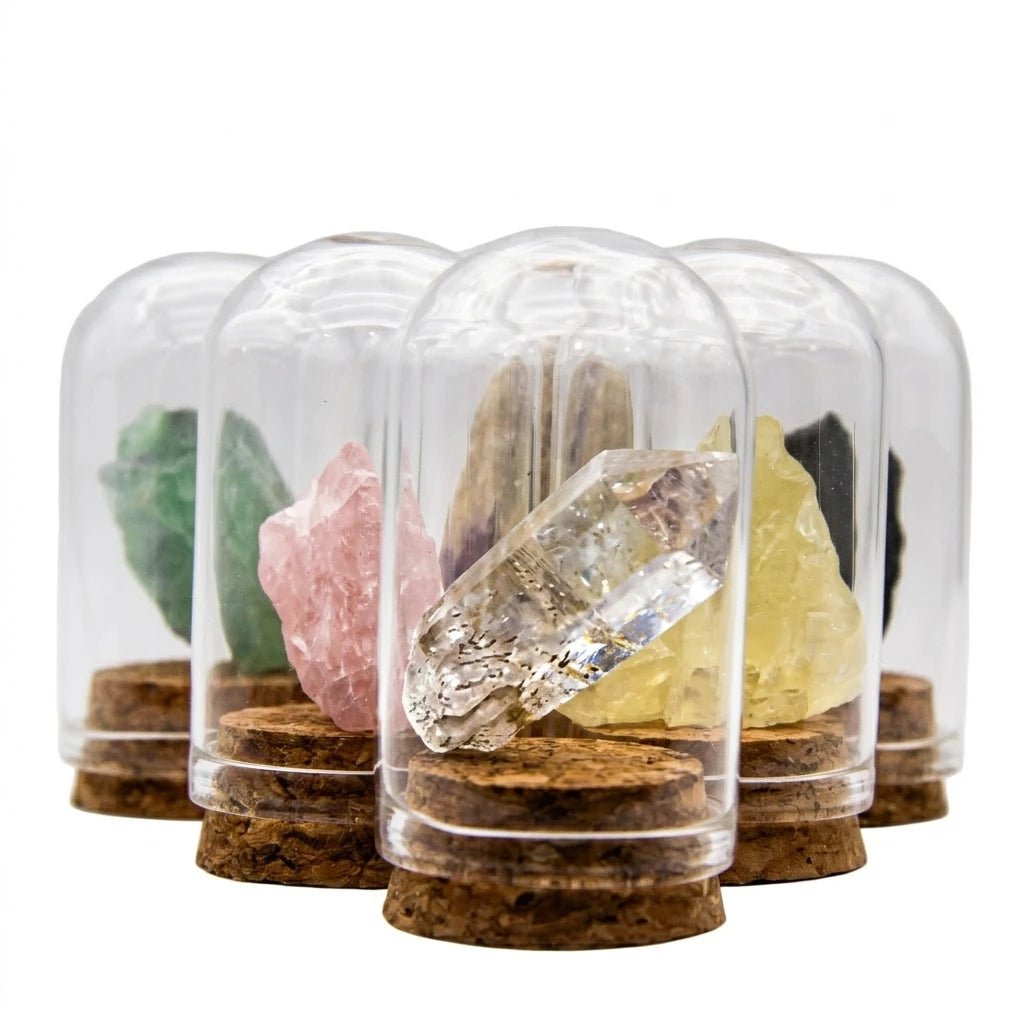 CHIGROVE Black Tourmaline Specimen in Glass Cloche for Protection & Meditation | Natural Rough Stone Desk Decor - ChiGrove