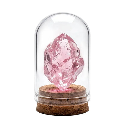CHIGROVE Rose Quartz Crystal Display in Glass Cloche | Natural Self Love Healing Crystal Home Decor - ChiGrove