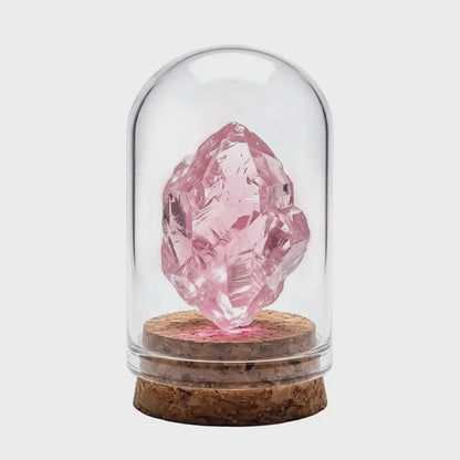 Rose Quartz Crystal Display in Glass — Self Love & Emotional Healing Decor